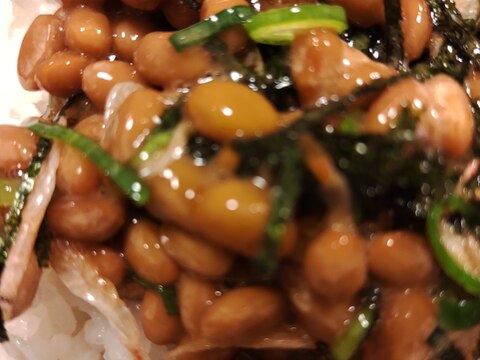 刻み海苔とねぎと素干しエビの納豆かけご飯